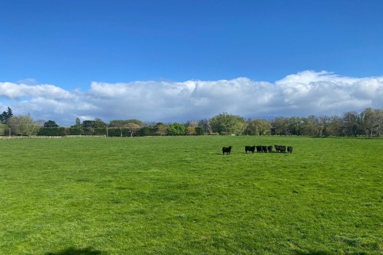 Photo of property in 64 Matahiwi Road, Matahiwi, Masterton, 5888