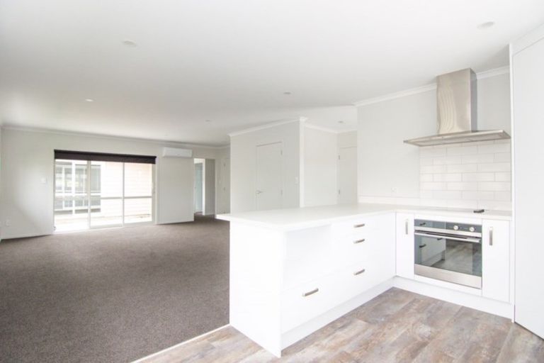 Photo of property in 315 Ruahine Street, Terrace End, Palmerston North, 4410