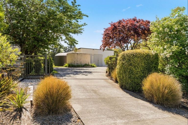 Photo of property in 42 Leyland Road, Whakamarama, Tauranga, 3179