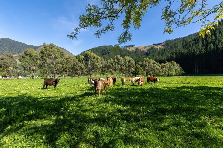 Photo of property in 208 Mount Riley Road, Okaramio, Havelock, 7178