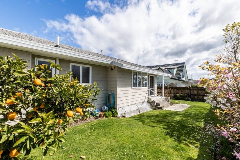 Photo of property in 12 Bennelong Place, Havelock North, 4130