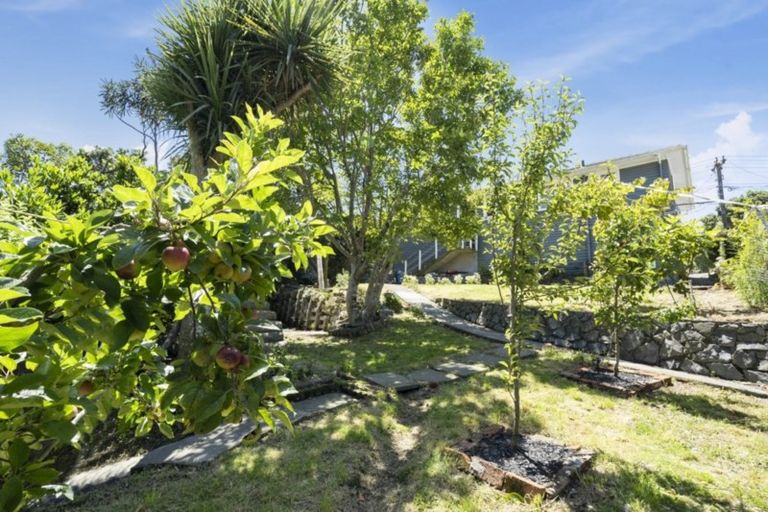 Photo of property in 50 Montreal Grove, Kingston, Wellington, 6021