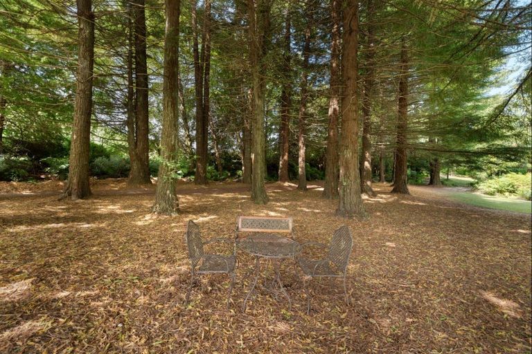 Photo of property in 57 Armstrong Road, Te Puna, Tauranga, 3174