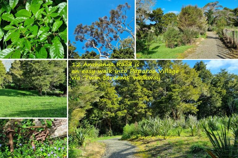 Photo of property in 12 Arahanga Road, Paparoa, 0571