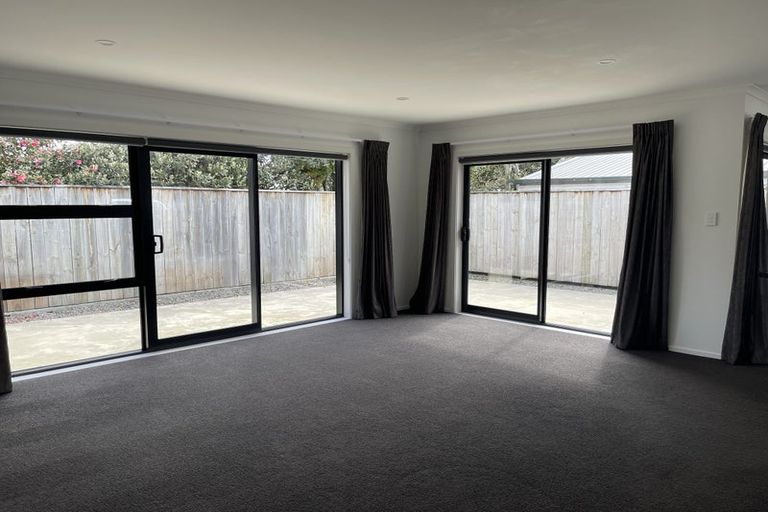 Photo of property in 10a Leicester Street, Terrace End, Palmerston North, 4410