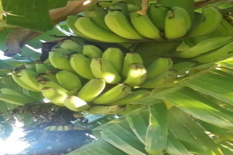 Photo of property in 14 Mitchell Road, Wairoa, 4108