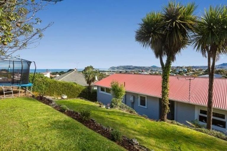 Photo of property in 28 Chisholm Place, Tainui, Dunedin, 9013
