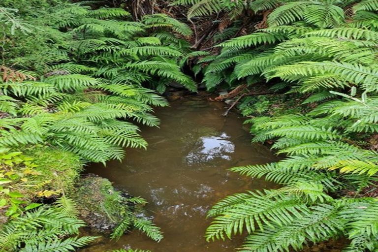 Photo of property in 8 Leith Crescent, Greymouth, 7805