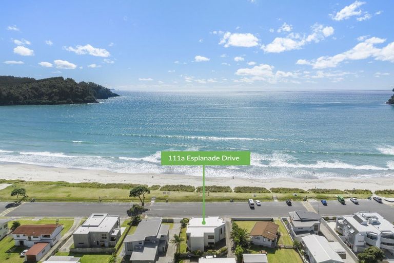 Photo of property in 111a Esplanade Drive, Whangamata, 3620