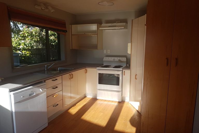 Photo of property in 29a Plunket Street, Spreydon, Christchurch, 8024