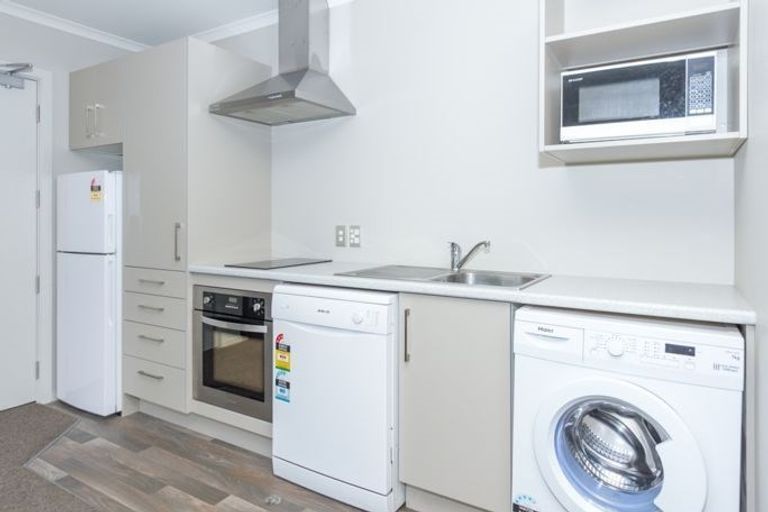 Photo of property in 58 Willoughby Street, Whitiora, Hamilton, 3200