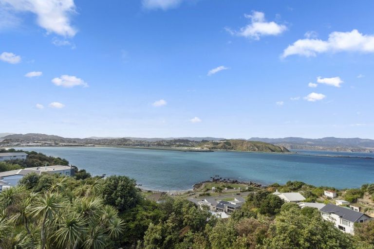 Photo of property in 97 View Road, Houghton Bay, Wellington, 6023