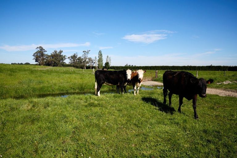 Photo of property in 125 Chapel Road, Loburn, Rangiora, 7472