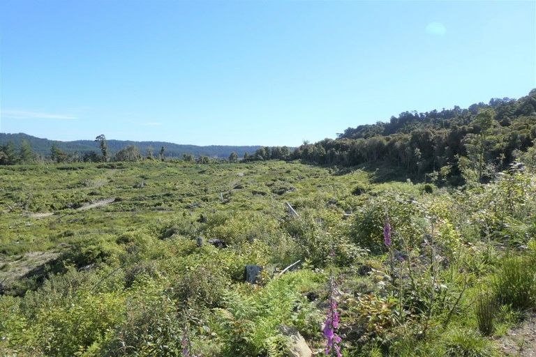 Photo of property in 756b Rutherglen Road, Marsden, Greymouth, 7872