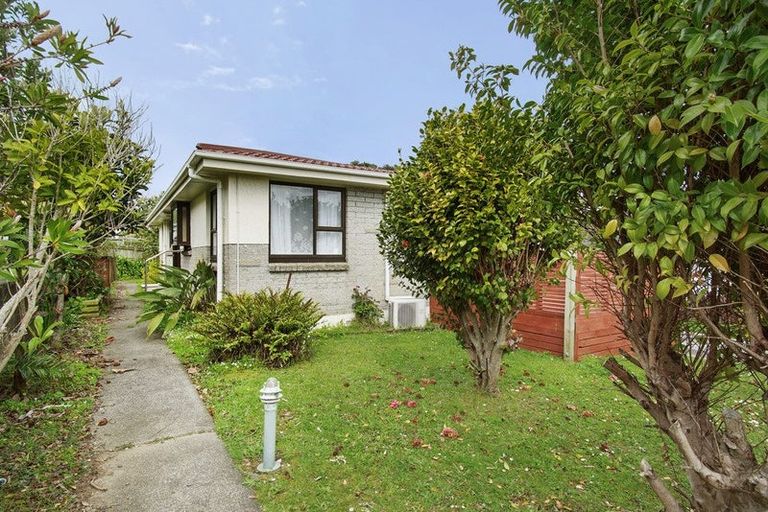 Photo of property in 36 Fantame Street, Cannons Creek, Porirua, 5024