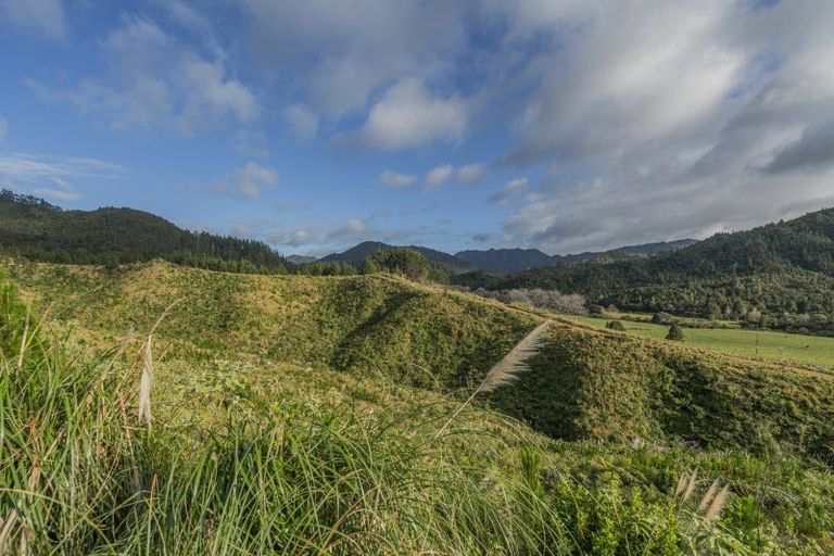 Photo of property in 1870 The 309 Road, Kaimarama, Whitianga, 3591