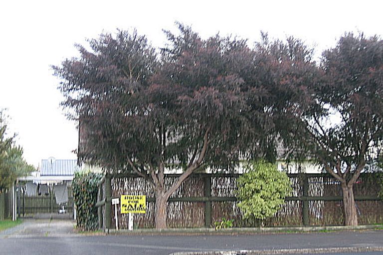 Photo of property in 91 Massey Street, Frankton, Hamilton, 3204