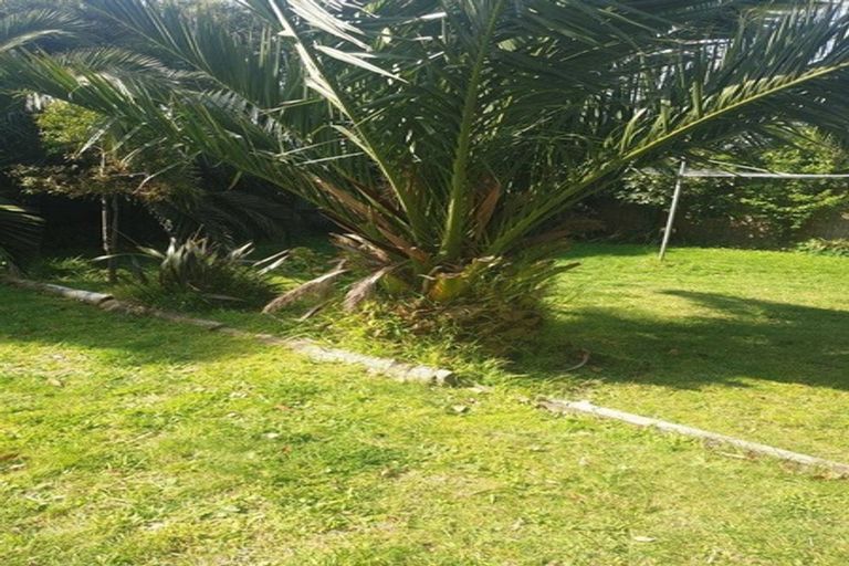 Photo of property in 100 Puriri Street, Gonville, Wanganui, 4501