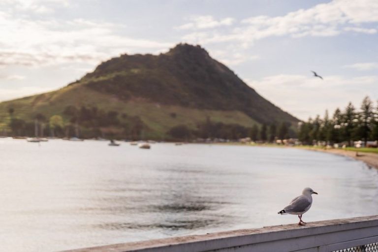 Photo of property in Paramount Apartments, 4/281 Maunganui Road, Mount Maunganui, 3116