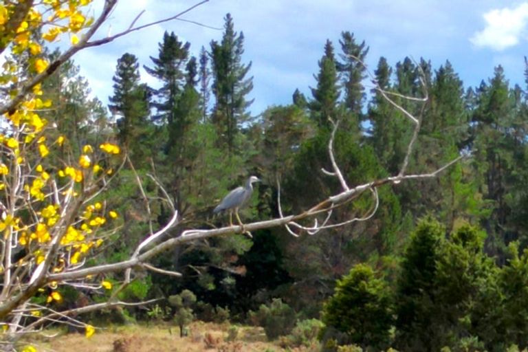 Photo of property in 3615 Horeke Road, Taheke, Kaikohe, 0473