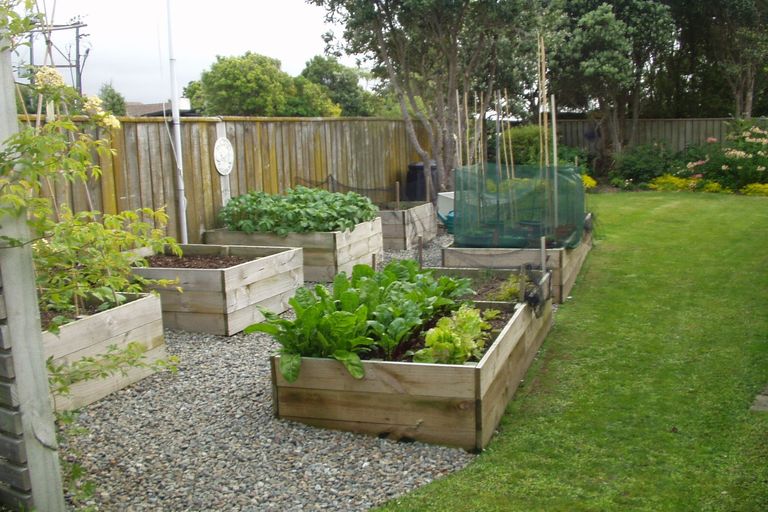 Photo of property in 5 Windsor Street, Terrace End, Palmerston North, 4410