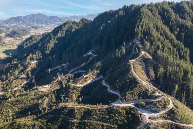 Photo of property in 990 Motueka River West Bank Road, Motueka Valley, Motueka, 7196