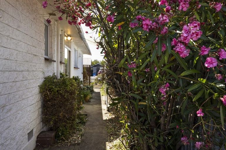 Photo of property in 80 Houldsworth Street, Blenheim, 7201