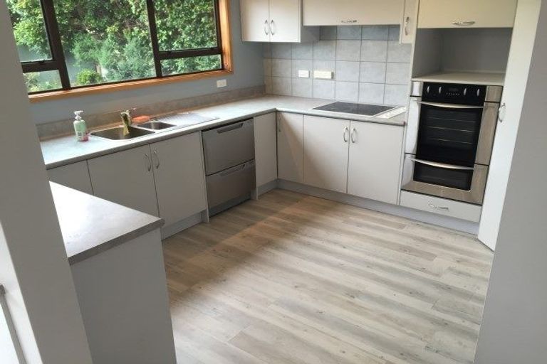 Photo of property in 18 Pine Avenue, Henderson, Auckland, 0612