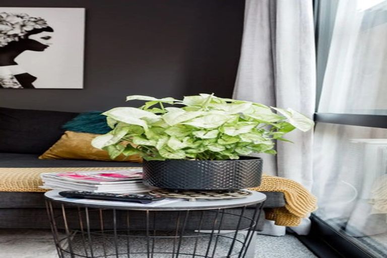 Photo of property in 3/3 Charlemont Street, Whitiora, Hamilton, 3200