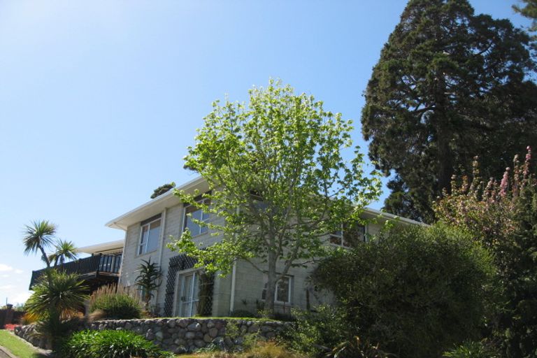 Photo of property in 17 Tresillian Avenue, Marybank, Nelson, 7010