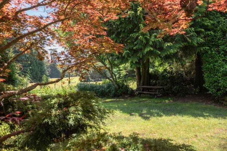 Photo of property in 728 Whangamata Road, Kinloch, Taupo, 3377