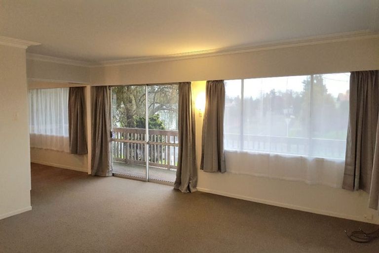 Photo of property in 133 Fitzroy Avenue, Fitzroy, Hamilton, 3206