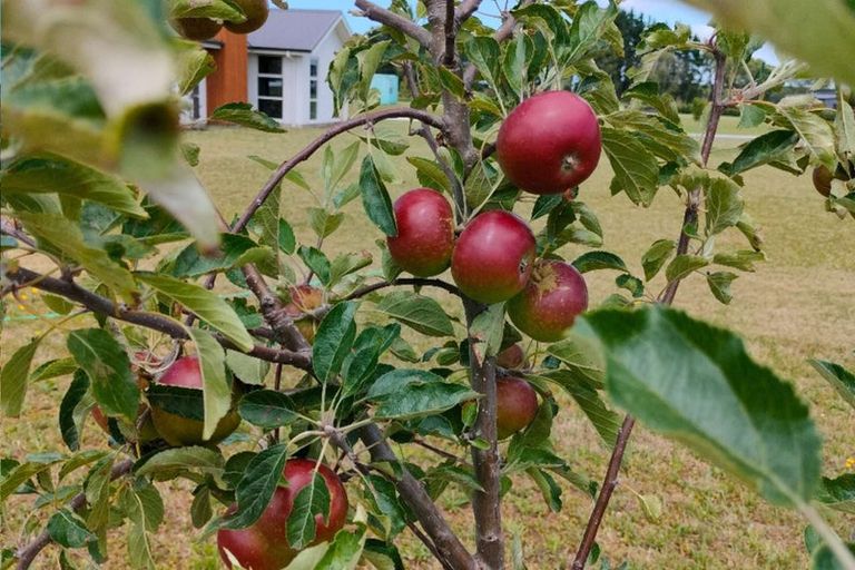 Photo of property in 133 Verdeco Boulevard, Lincoln, 7608