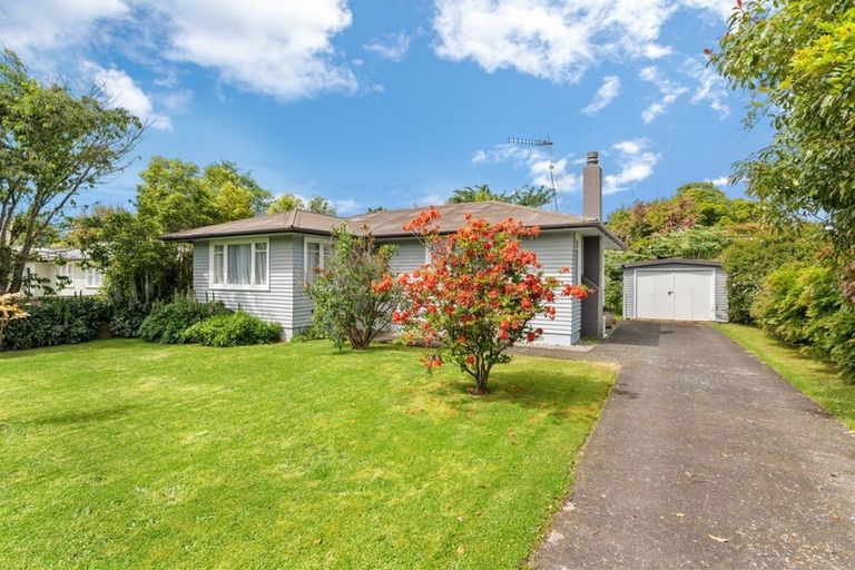Photo of property in 45 Tararua Street, Pahiatua, 4910