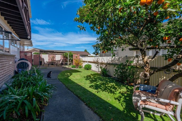 Photo of property in 53 Elbourne Street, Taradale, Napier, 4112