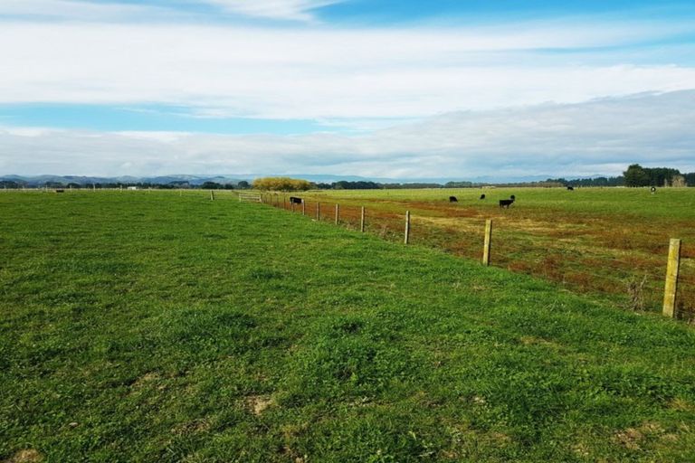 Photo of property in 221 Troup Road, Woodville, 4999