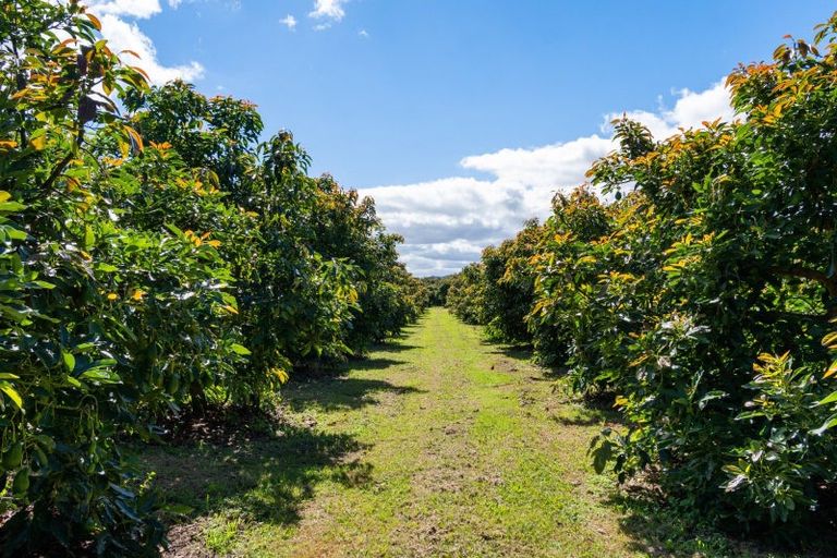 Photo of property in 42 Ferry Road, Waerengaahika, Gisborne, 4071