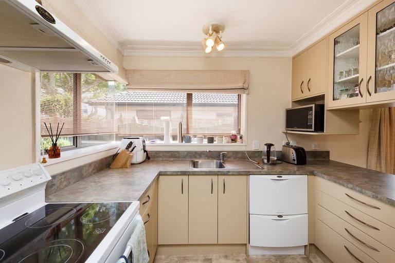 Photo of property in 417 Ruahine Street, Terrace End, Palmerston North, 4410