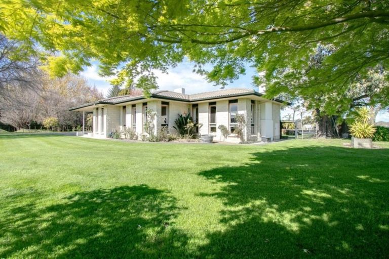 Photo of property in 77 Algernon Road, Longlands, Hastings, 4172