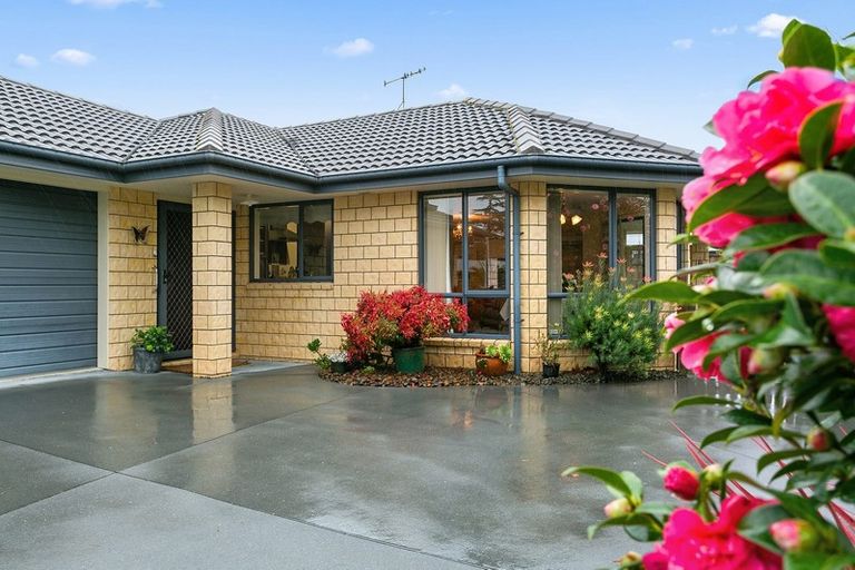 Photo of property in 25 Scott Street, Leamington, Cambridge, 3432