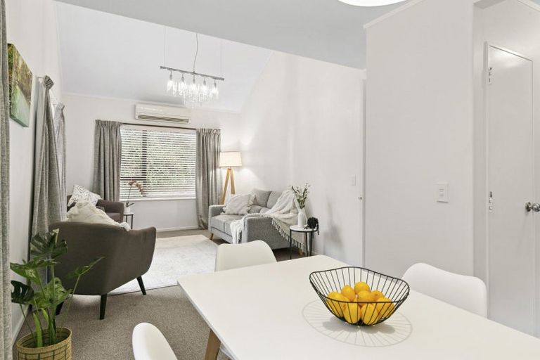 Photo of property in 3/53 Liardet Street, Vogeltown, Wellington, 6021