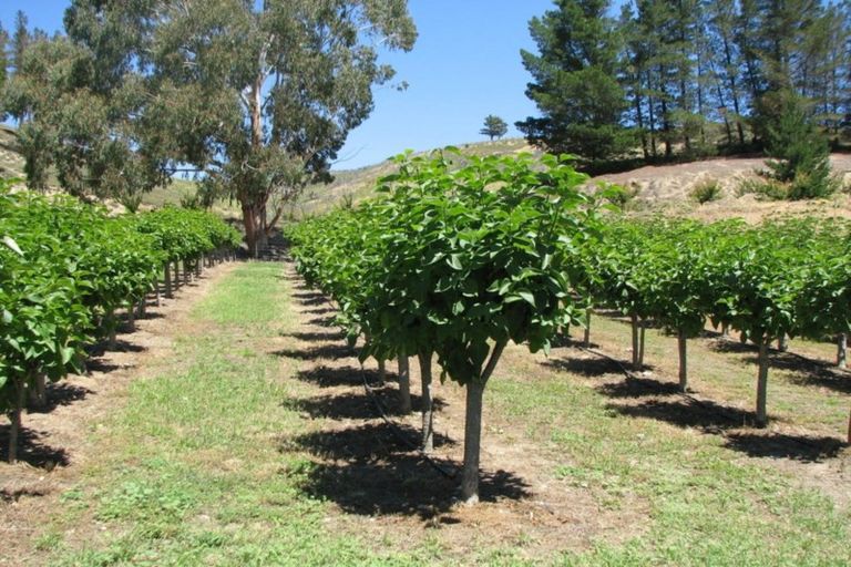 Photo of property in 97 Letts Gully Road, Letts Gully, Alexandra, 9393