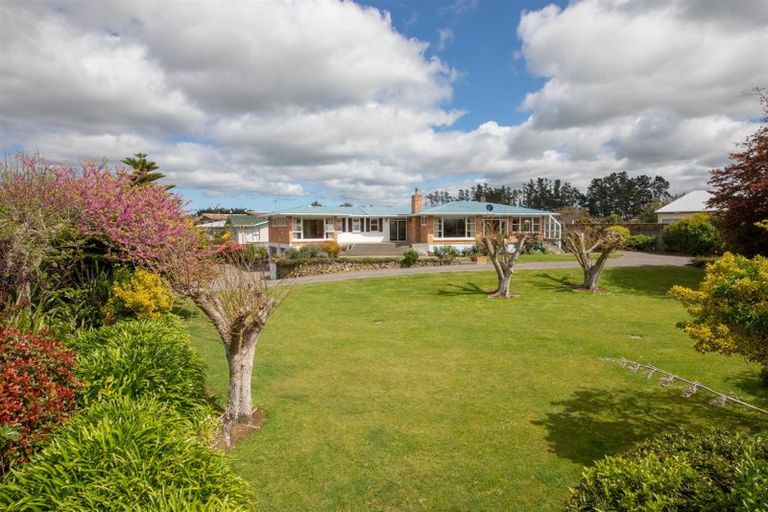 Photo of property in 197 Bridge Street, Bulls, 4818