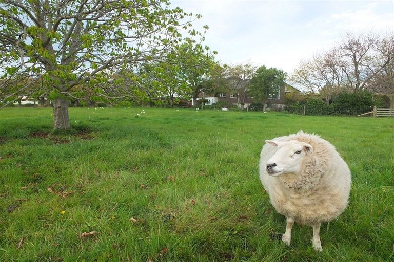 Photo of property in 70 Halstead Road, Pleasant Point, 7903