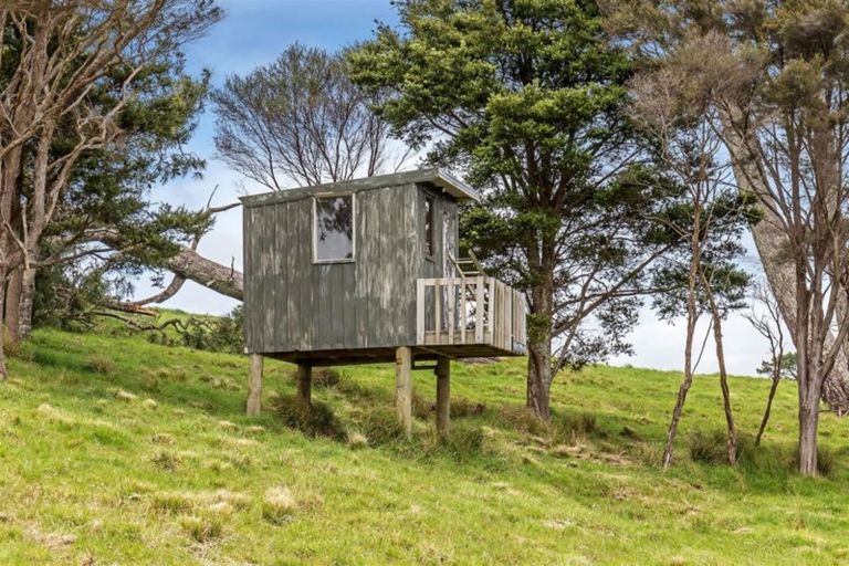 Photo of property in 868 Haruru Road, Wainui, 0873