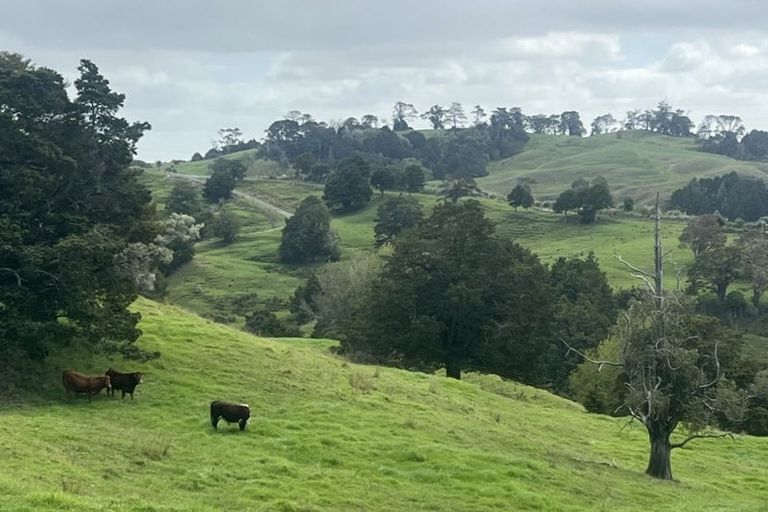 Photo of property in 492 Wairere Road, Paparoa, 0571