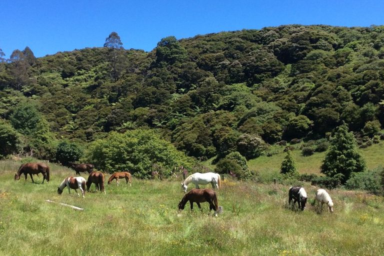 Photo of property in 445 Bird Road, Clifton, Takaka, 7183