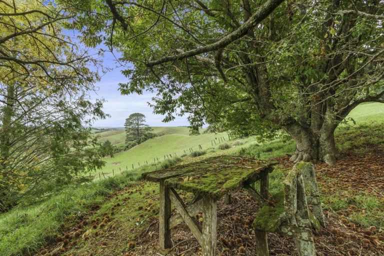 Photo of property in 1135 Richmond Road, Everett Park, Inglewood, 4389