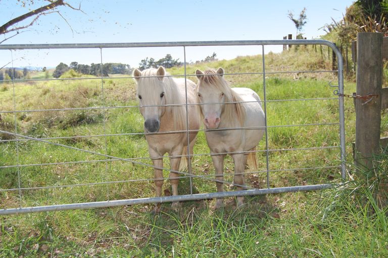 Photo of property in 10 Rangiora Road, Kaiwaka, 0573