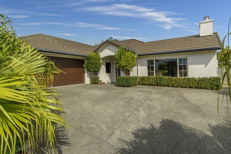 Photo of property in 164 Carmichael Road, Bethlehem, Tauranga, 3110
